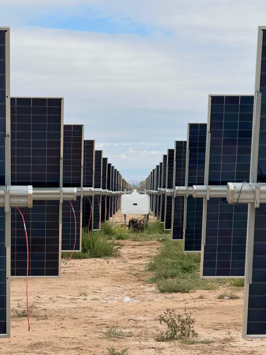 Hincado de estructuras y montaje de trackers en un parque solar